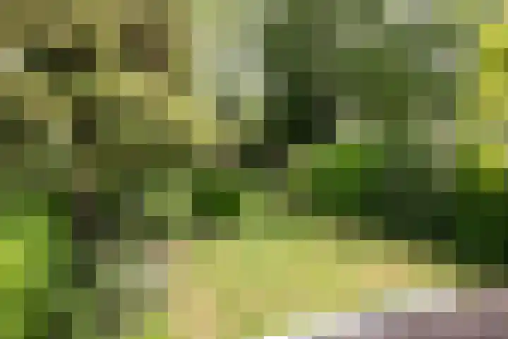 Diamant 5 Berkel en Rodenrijs thumbnail 50