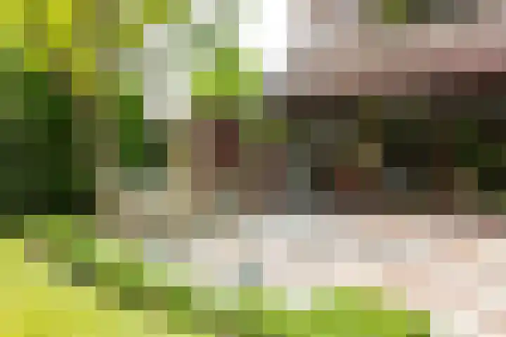 Diamant 5 Berkel en Rodenrijs thumbnail 52