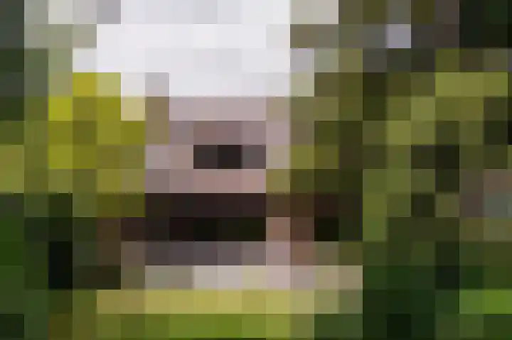 Diamant 5 Berkel en Rodenrijs thumbnail 53