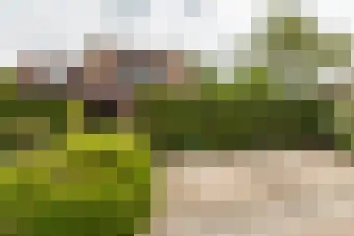 Diamant 5 Berkel en Rodenrijs thumbnail 55