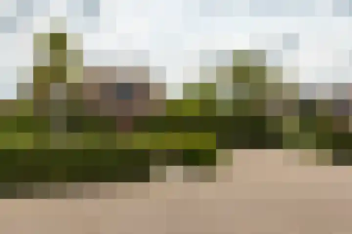 Diamant 5 Berkel en Rodenrijs thumbnail 6