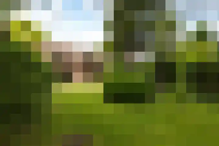 Diamant 5 Berkel en Rodenrijs thumbnail 63