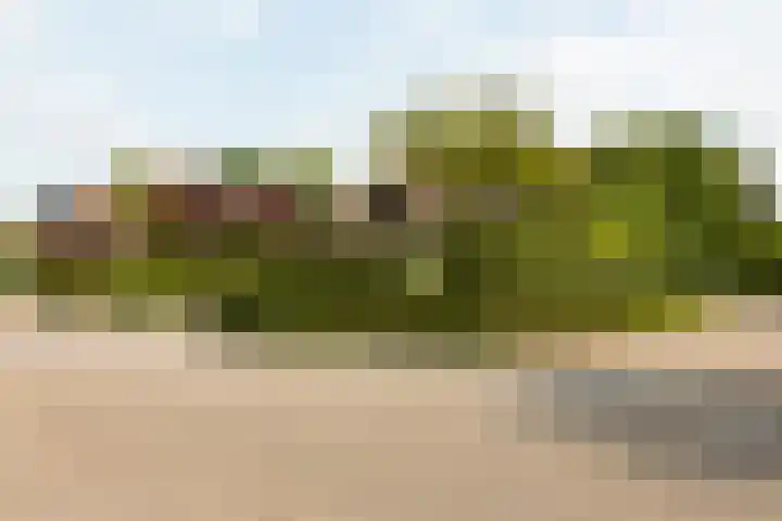 Diamant 5 Berkel en Rodenrijs thumbnail 7