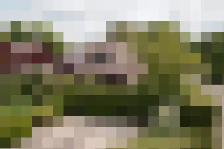 Diamant 5 Berkel en Rodenrijs thumbnail 8