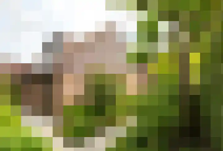 Diamant 5 Berkel en Rodenrijs thumbnail 9