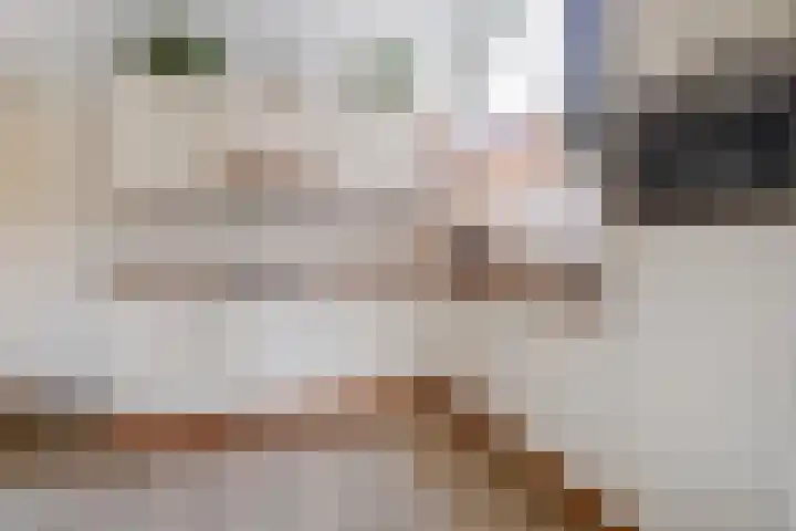 Diamant 50 Berkel en Rodenrijs thumbnail 15
