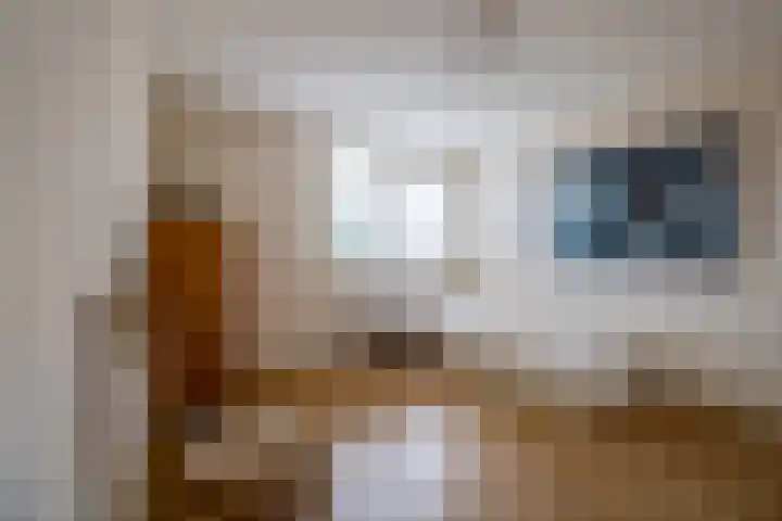 Diamant 50 Berkel en Rodenrijs thumbnail 22
