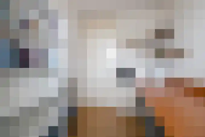 Diamant 50 Berkel en Rodenrijs thumbnail 28