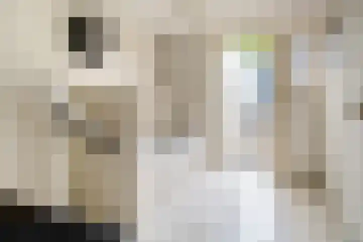 Diamant 50 Berkel en Rodenrijs thumbnail 34