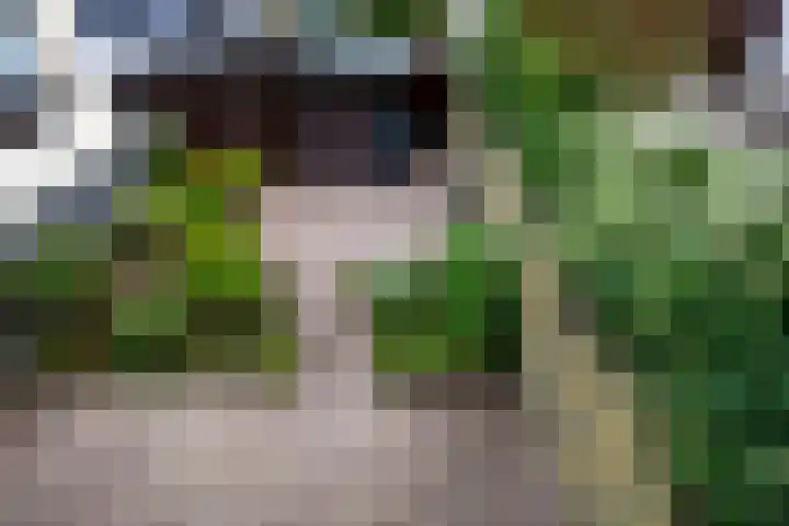 Diamant 50 Berkel en Rodenrijs thumbnail 35