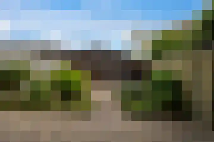 Diamant 50 Berkel en Rodenrijs thumbnail 36