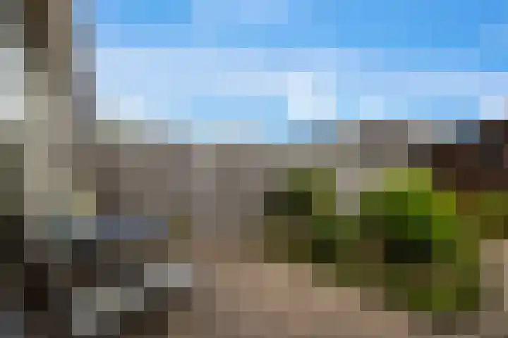 Diamant 50 Berkel en Rodenrijs thumbnail 37