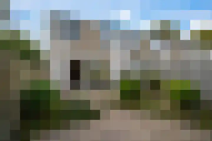 Diamant 50 Berkel en Rodenrijs thumbnail 39