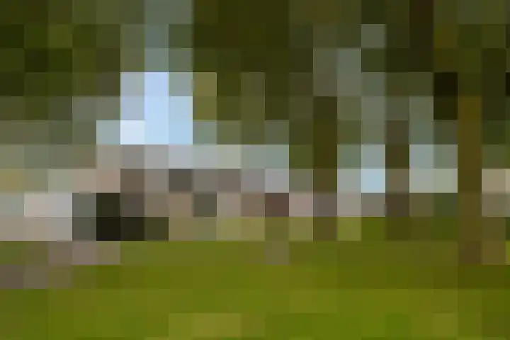 Diamant 50 Berkel en Rodenrijs thumbnail 40