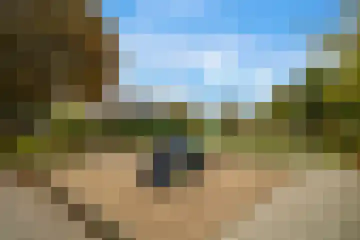 Diamant 50 Berkel en Rodenrijs thumbnail 41