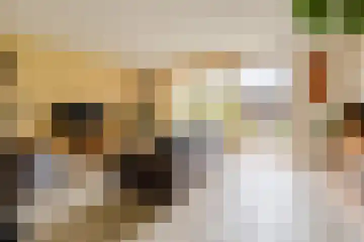 Diamant 50 Berkel en Rodenrijs thumbnail 6