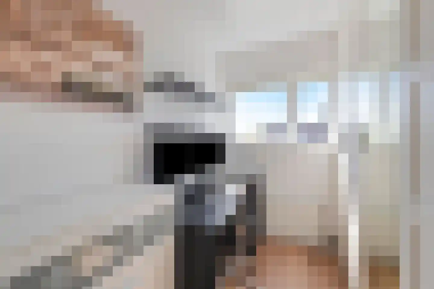 Diamant 51 Anna Paulowna thumbnail 22