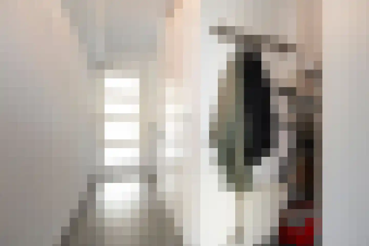 Diamant 51 Anna Paulowna thumbnail 8