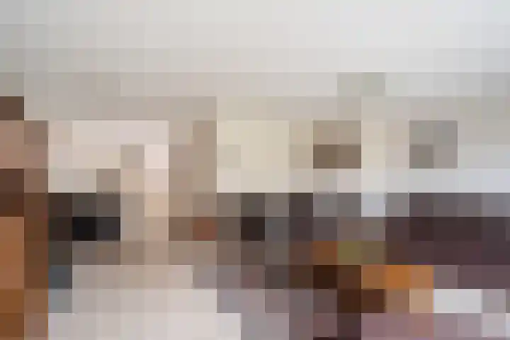 Diamant 51 Berkel en Rodenrijs thumbnail 15