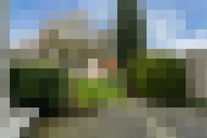 Diamant 51 Berkel en Rodenrijs thumbnail 19