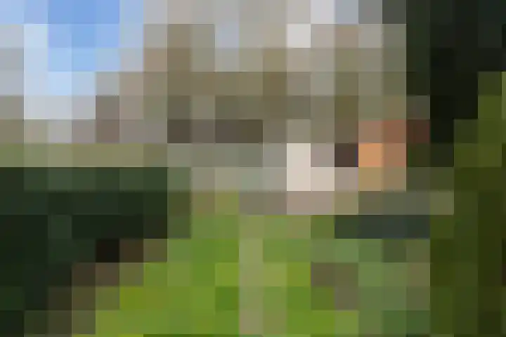 Diamant 51 Berkel en Rodenrijs thumbnail 20