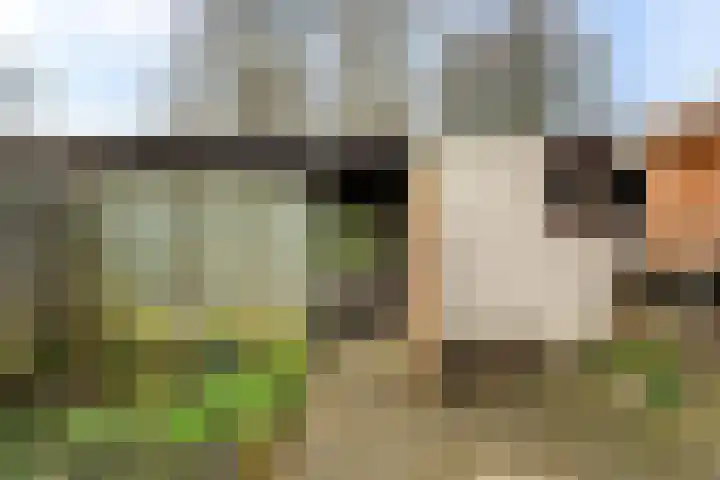 Diamant 51 Berkel en Rodenrijs thumbnail 21
