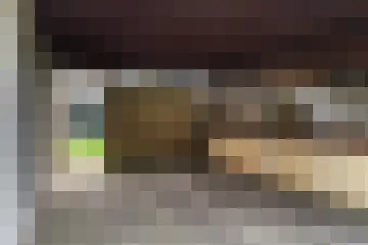 Diamant 51 Berkel en Rodenrijs thumbnail 22