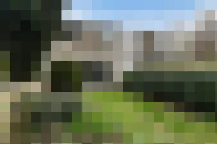 Diamant 51 Berkel en Rodenrijs thumbnail 24