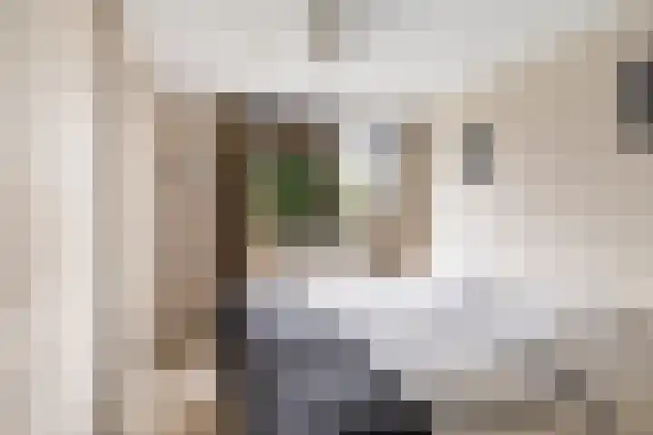 Diamant 51 Berkel en Rodenrijs thumbnail 30
