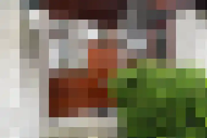 Diamant 51 Berkel en Rodenrijs thumbnail 4