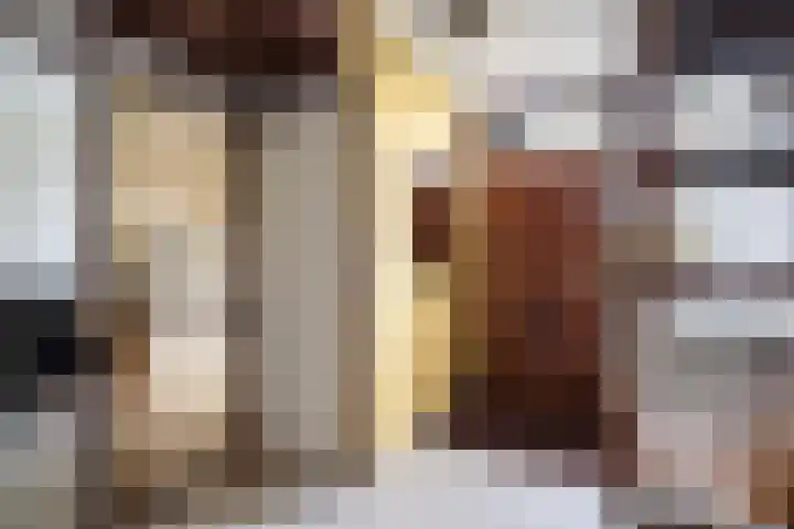 Diamant 51 Berkel en Rodenrijs thumbnail 6