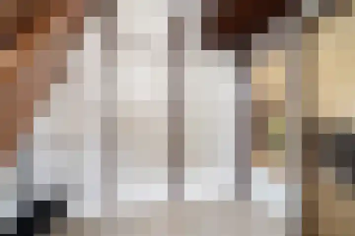 Diamant 51 Berkel en Rodenrijs thumbnail 7