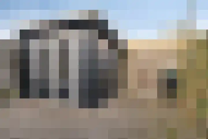 Diamant 52 Middelburg thumbnail 27