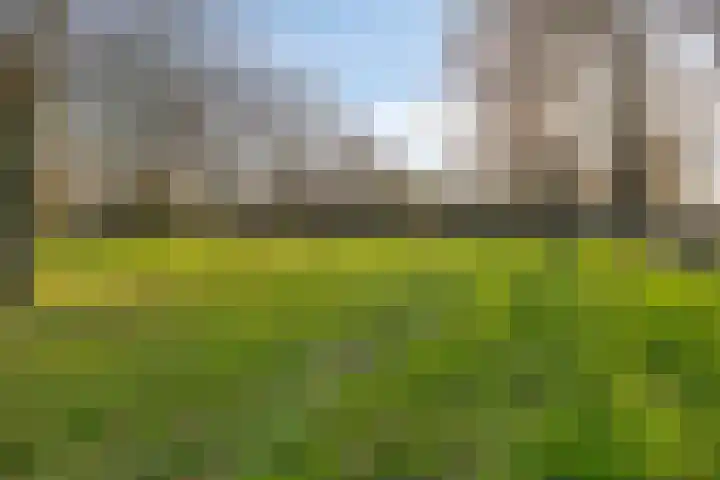 Diamant 52 Middelburg thumbnail 29