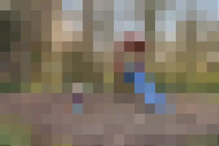 Diamant 52 Middelburg thumbnail 30