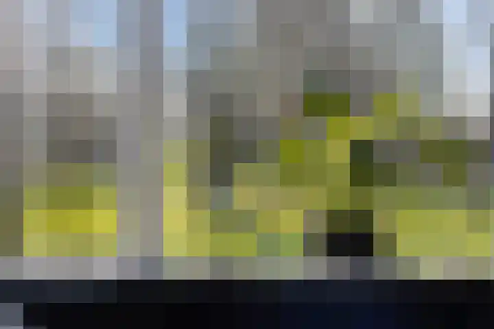 Diamant 52 Middelburg thumbnail 4