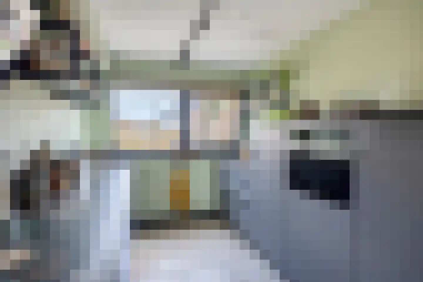 Diamant 56 Anna Paulowna thumbnail 14
