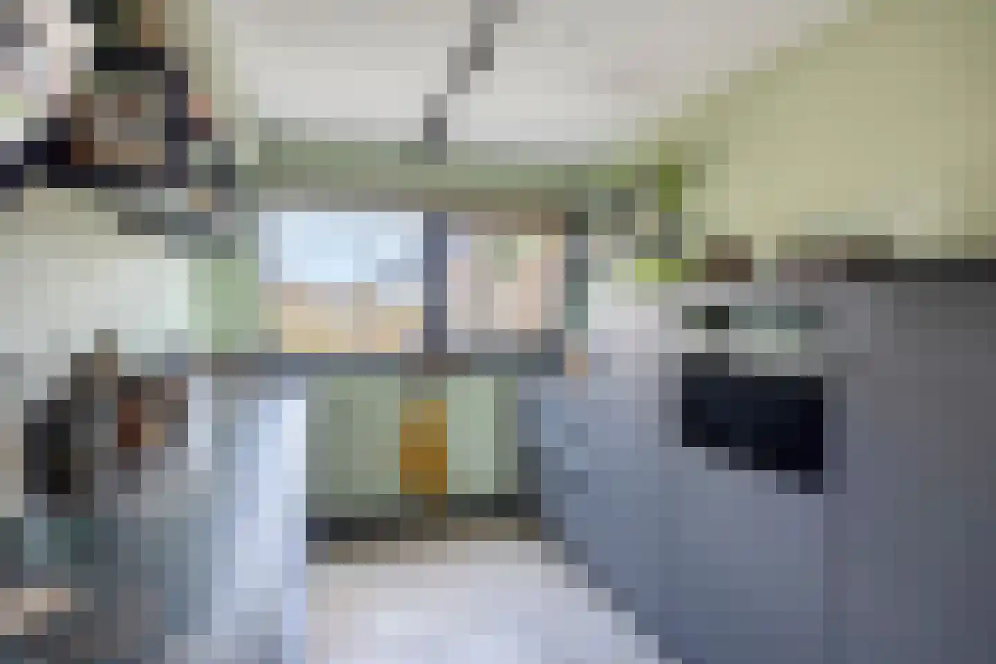 Diamant 56 Anna Paulowna thumbnail 14