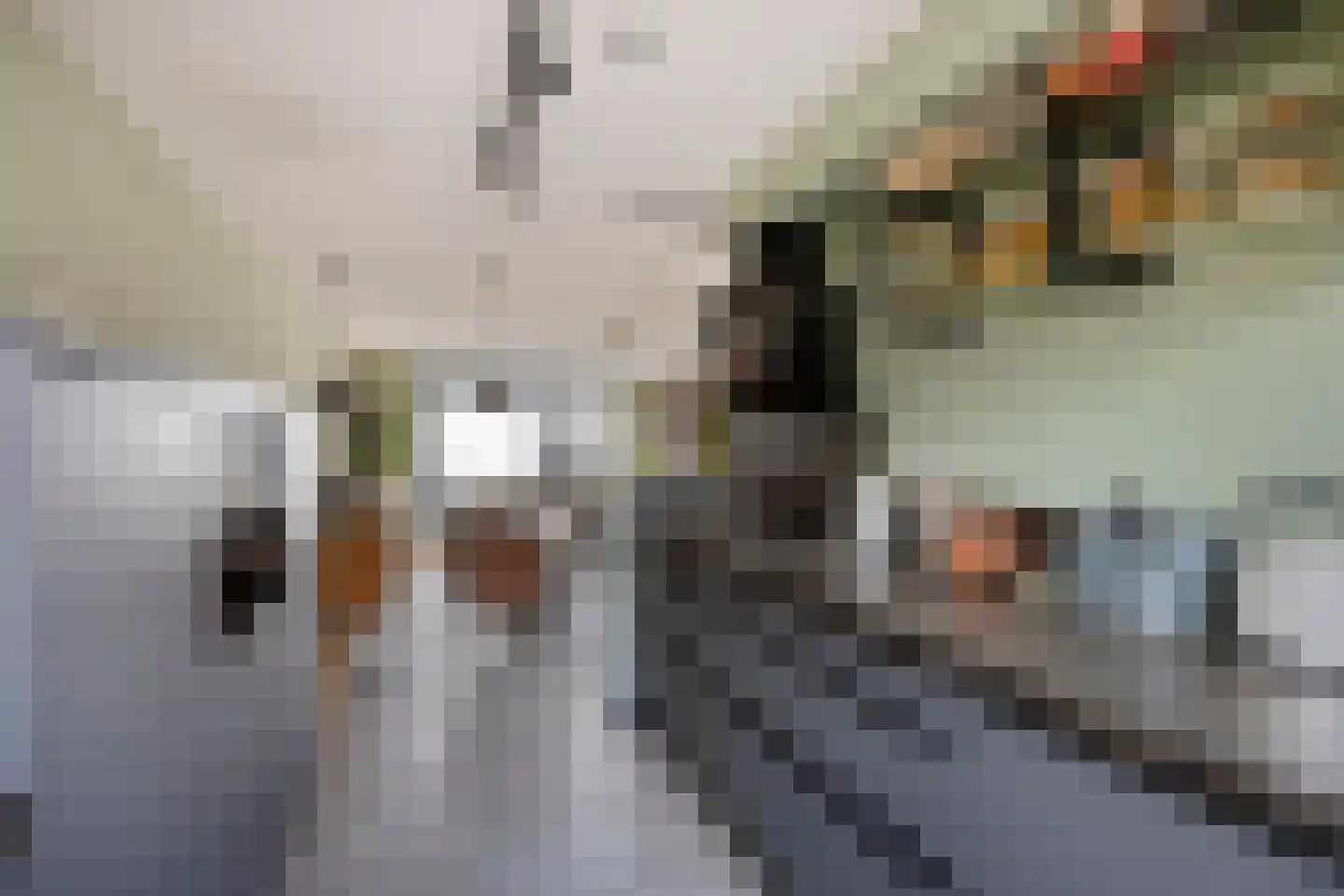 Diamant 56 Anna Paulowna thumbnail 15
