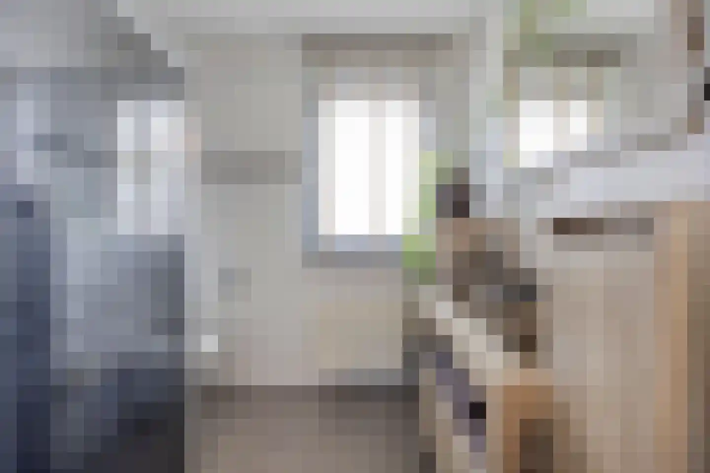 Diamant 56 Anna Paulowna thumbnail 22