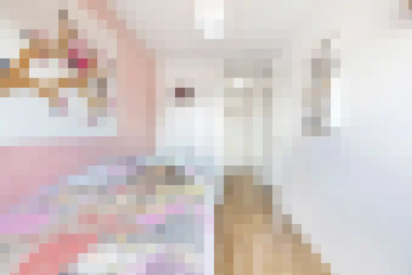 Diamant 57 Anna Paulowna thumbnail 19