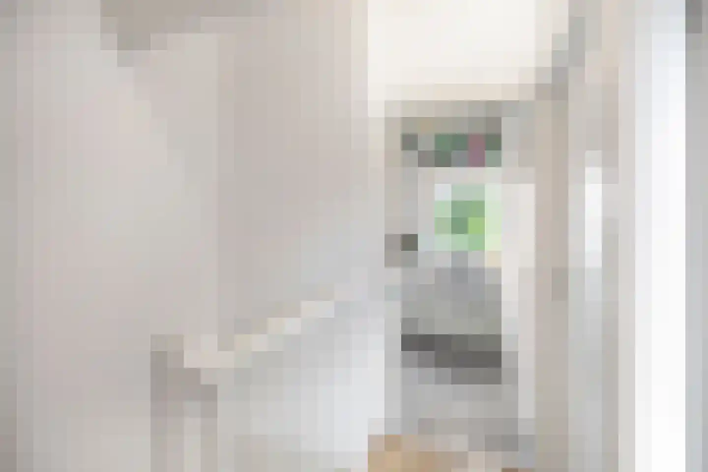 Diamant 57 Anna Paulowna thumbnail 22