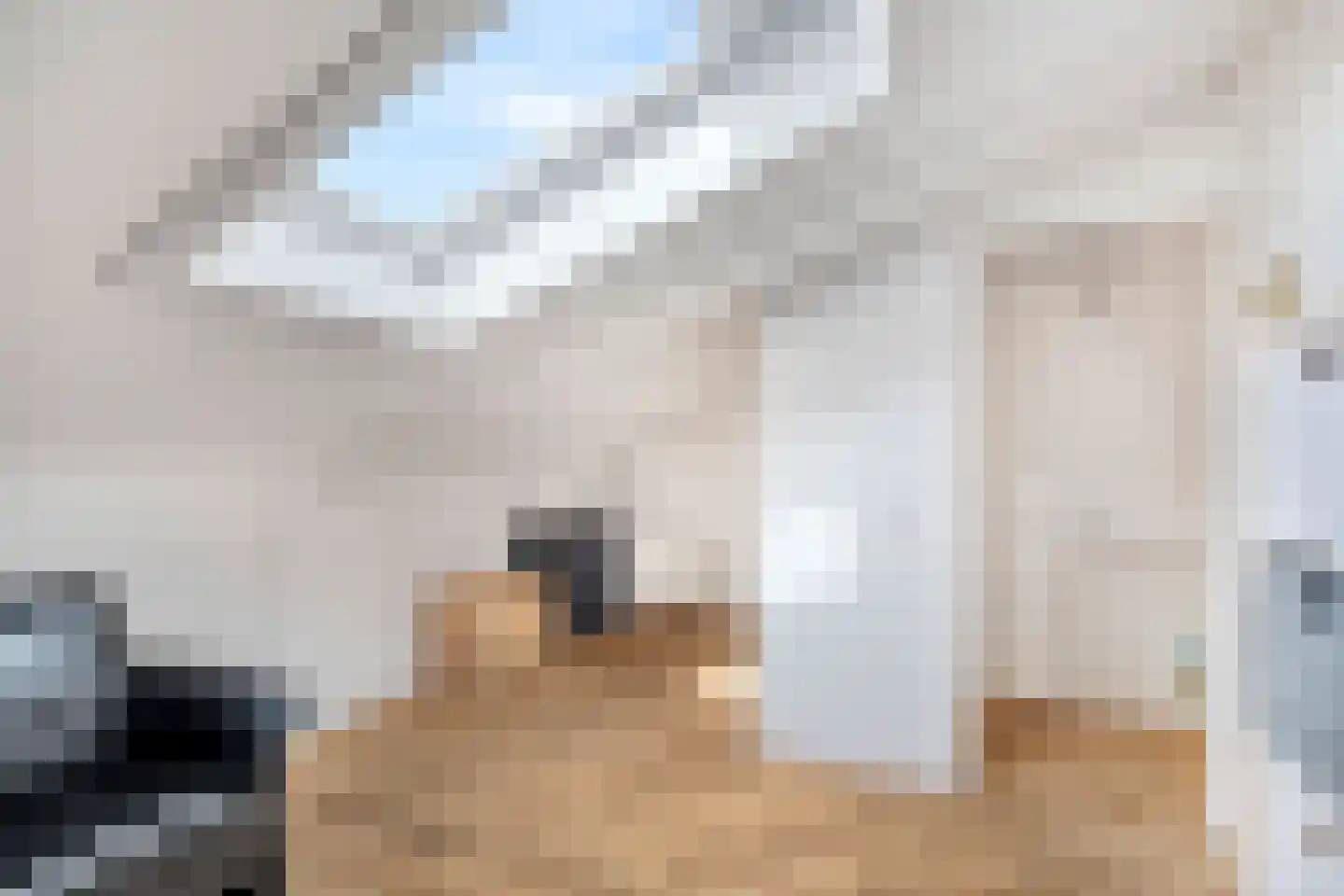 Diamant 57 Anna Paulowna thumbnail 26
