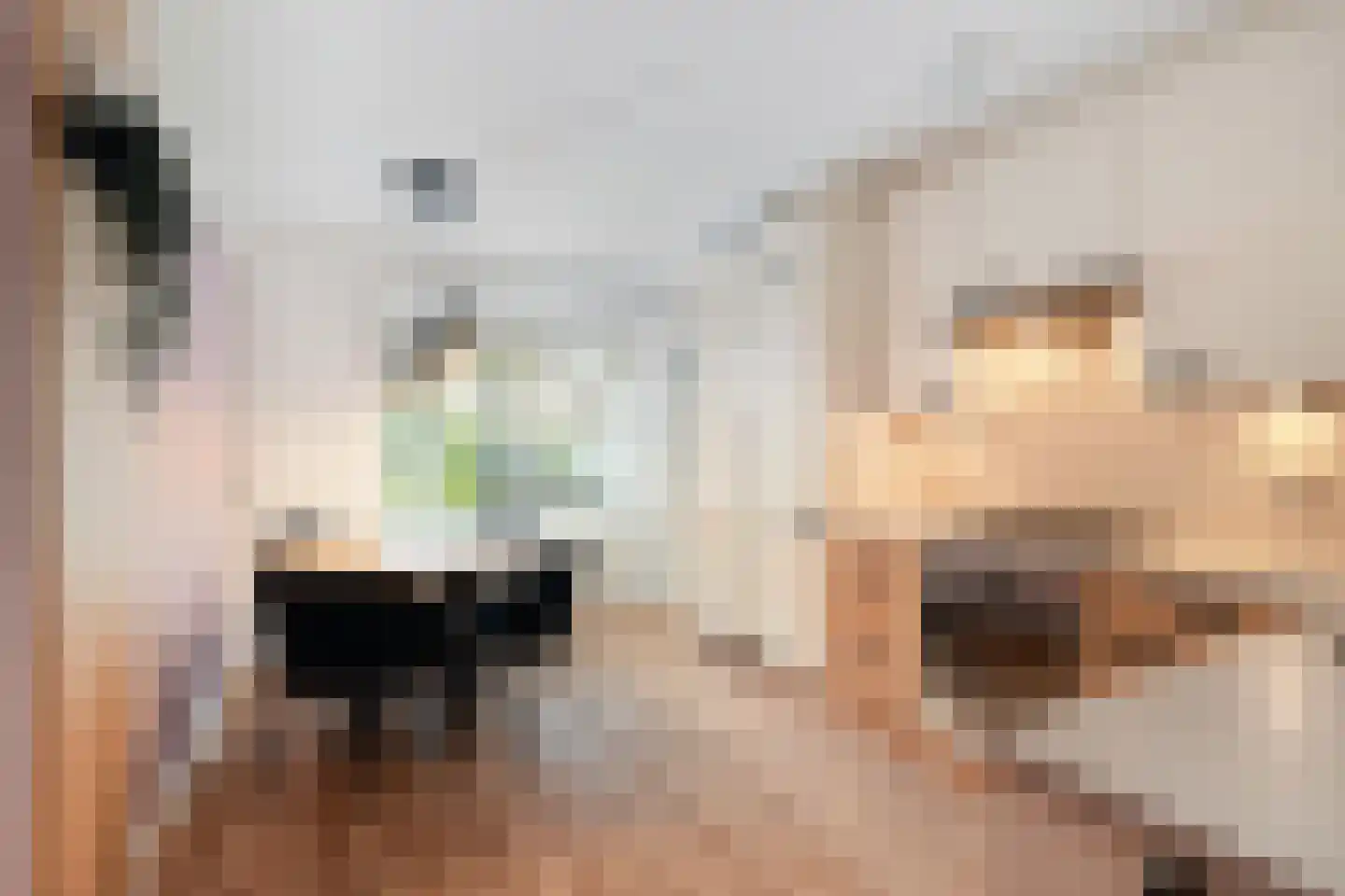 Diamant 61 Anna Paulowna thumbnail 15