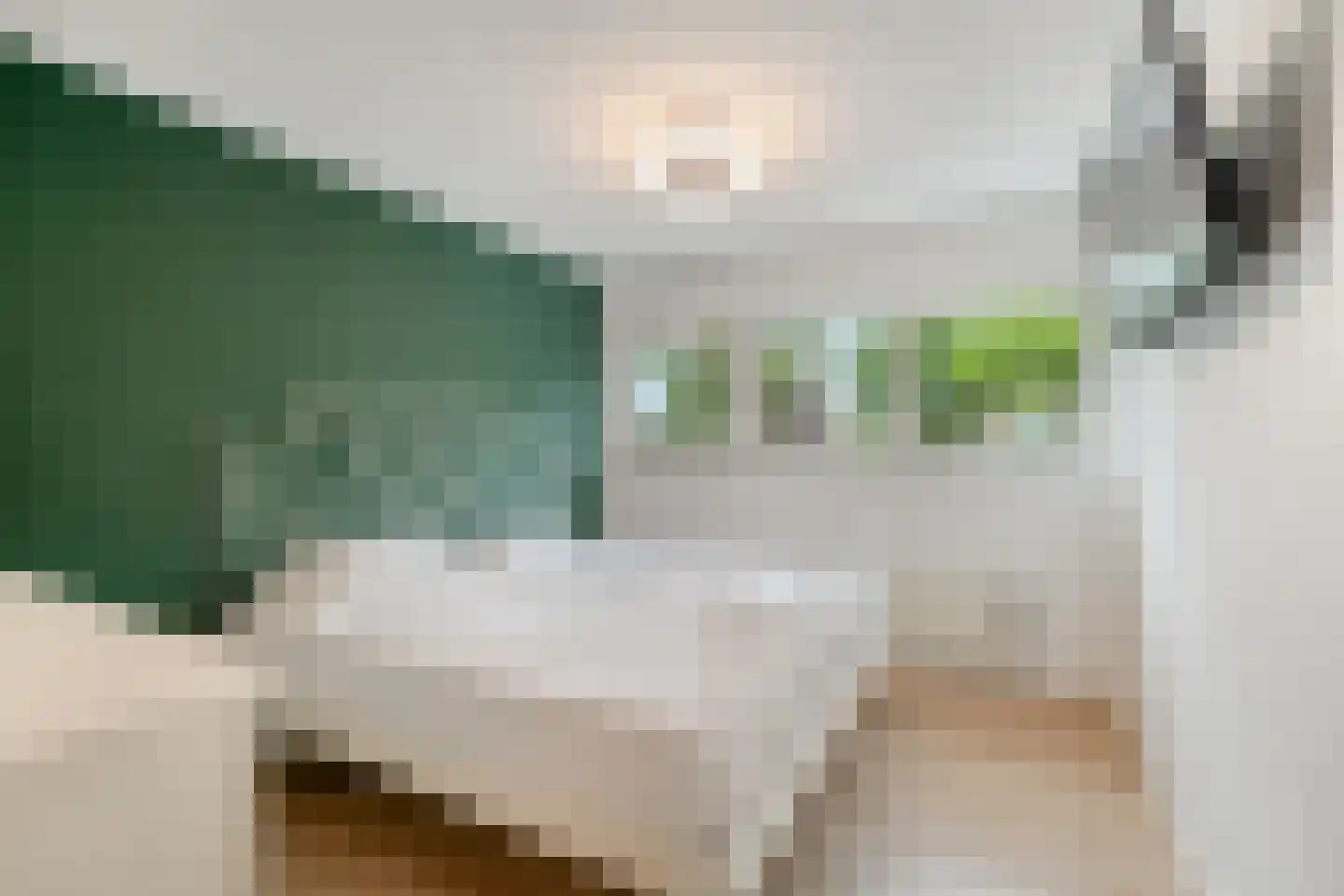 Diamant 61 Anna Paulowna thumbnail 19