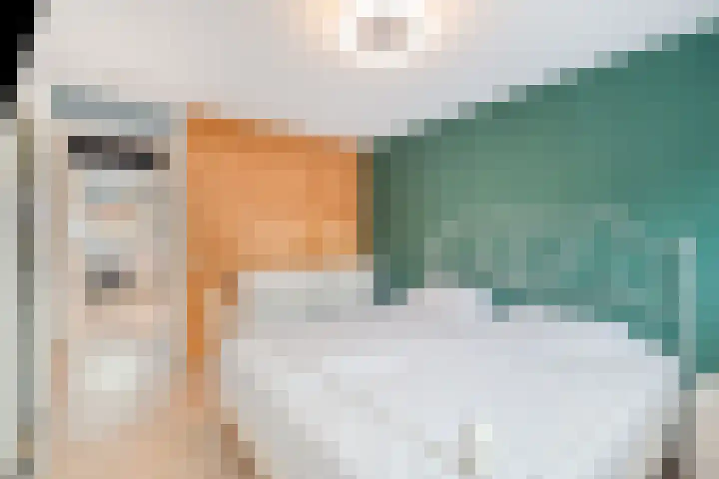 Diamant 61 Anna Paulowna thumbnail 20