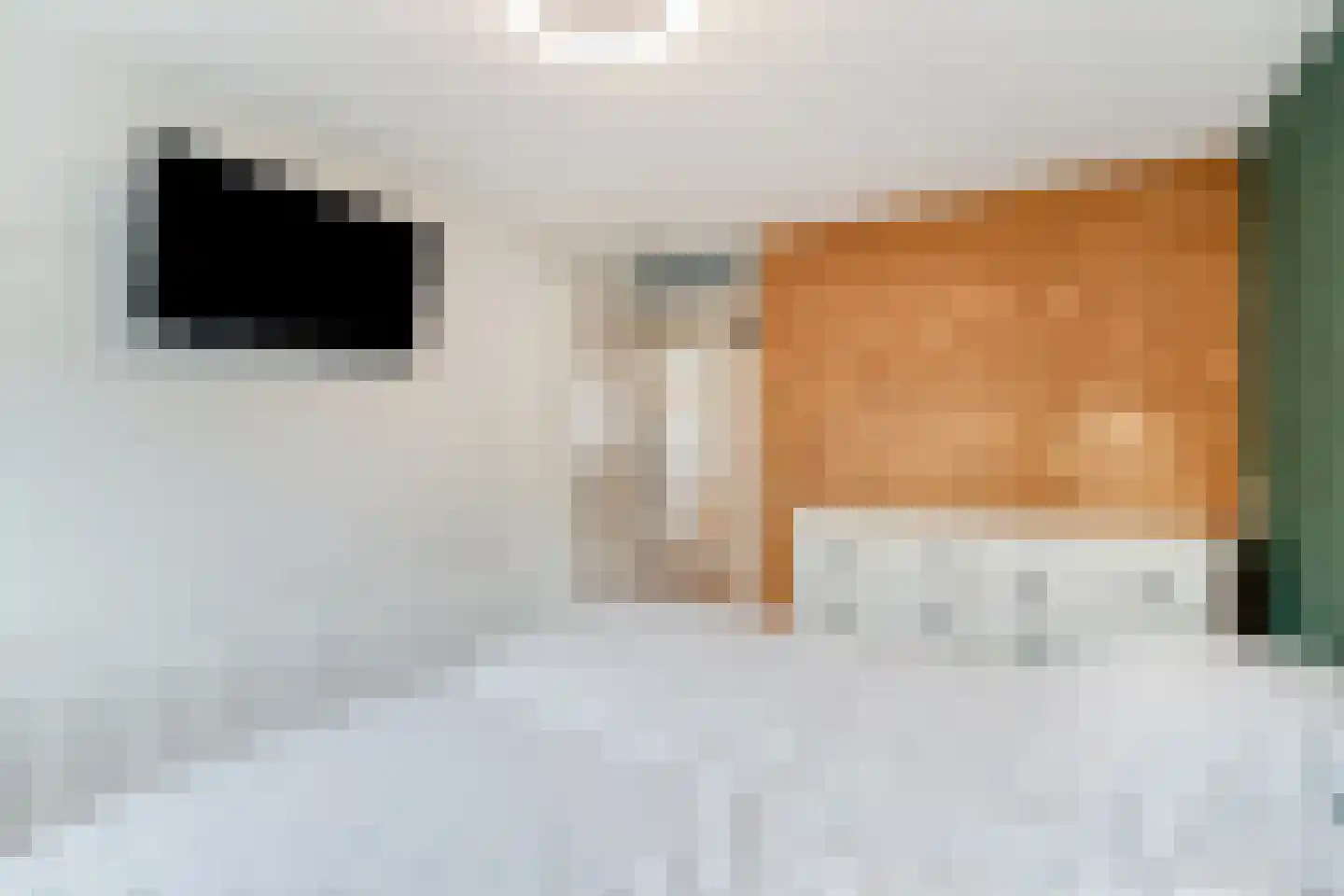 Diamant 61 Anna Paulowna thumbnail 21