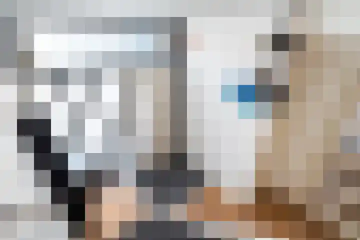 Diamant 65 Berkel en Rodenrijs thumbnail 24