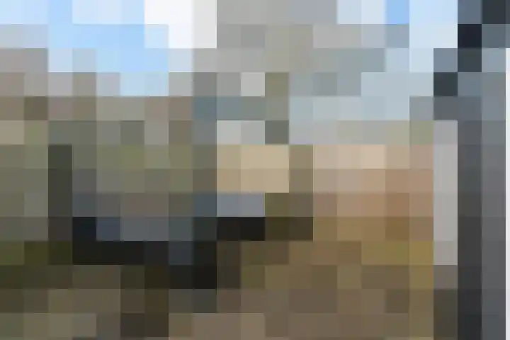 Diamant 65 Berkel en Rodenrijs thumbnail 40