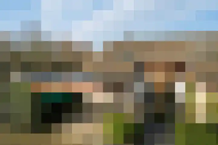 Diamant 65 Berkel en Rodenrijs thumbnail 43